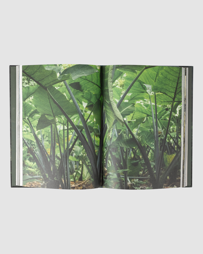 LIVING NATURE PHOTOGRAPHY BOOK BY PAULA GUIMARÃES I HOUSE OF CURATED